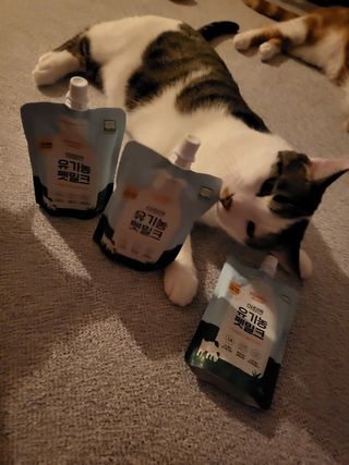 으나님이 올린 리뷰 사진 1
