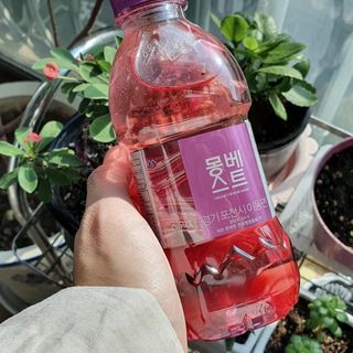 몽베스트 [MONTBEST] 330mL 20병 — 5점을 준 리뷰어가 2021년 10월 올린 사용 사진
