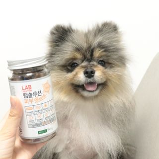 랩솔루션 강아지 영양제 3종 중 택 1 — 5점을 준 리뷰어가 2022년 5월 올린 사용 사진