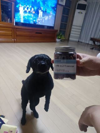 페페로니 진짜 오메가3 연어+소고기 180g+180g — 5점을 준 리뷰어가 2021년 7월 올린 사용 사진