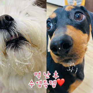 해바라기햇님님이 올린 리뷰 사진 1