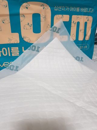 아베크 펫 와이드 프리미엄 중형 애견 강아지 배변 패드 54매 1팩 45g — 5점을 준 리뷰어가 2021년 7월 올린 사용 사진