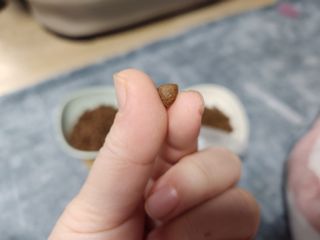 홍블리님이 올린 리뷰 사진 4