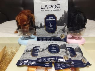 [푸디웜] 라포그 리얼인섹트 소프트키블 스킨 1KG — 5점을 준 리뷰어가 2022년 9월 올린 사용 사진