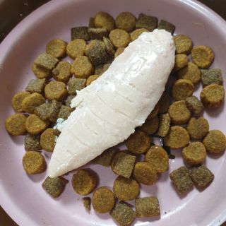 도그퓨어 푸드닭 강아지 닭고기 통살 애견간식 오리지널/차전자피/초록입홍합 — 5점을 준 리뷰어가 2021년 11월 올린 사용 사진