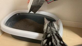 꾸준히님이 올린 리뷰 사진 4
