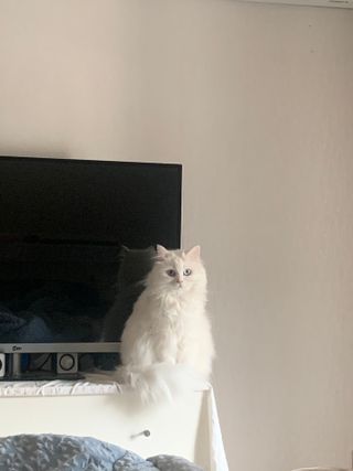 례진님이 올린 리뷰 사진 3