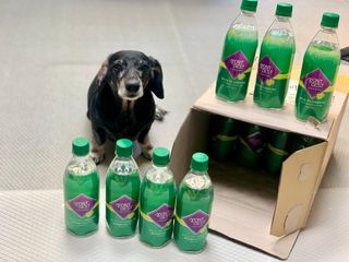 몽베스트 Montbest with Sparkling water Lemon OR Lime 20병(랜덤) — 5점을 준 리뷰어가 2021년 10월 올린 사용 사진