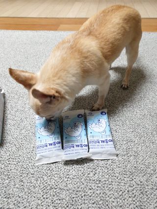 My Pet Care 장건강에 개좋아 — 5점을 준 리뷰어가 2021년 2월 올린 사용 사진