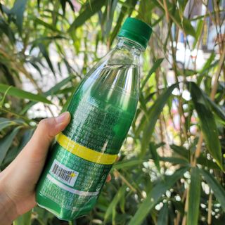 몽베스트 Montbest with Sparkling water Lemon OR Lime 20병(랜덤) — 5점을 준 리뷰어가 2022년 5월 올린 사용 사진