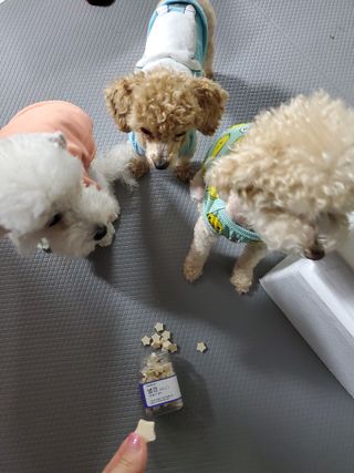 모모맘님이 올린 리뷰 사진 1