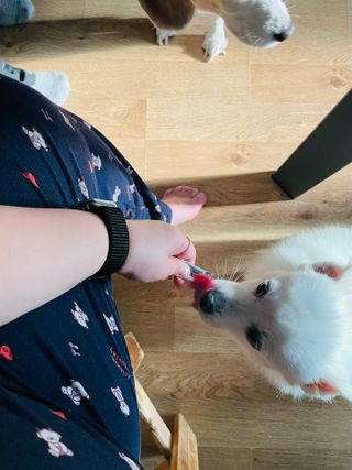 진진님이 올린 리뷰 사진 4