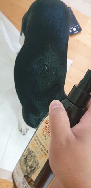 jeinok님이 올린 리뷰 사진 2