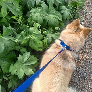 고유경님이 올린 리뷰 사진 3