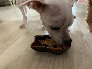 ZiunYang님이 올린 리뷰 사진 2