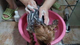 별앤별님이 올린 리뷰 사진 3