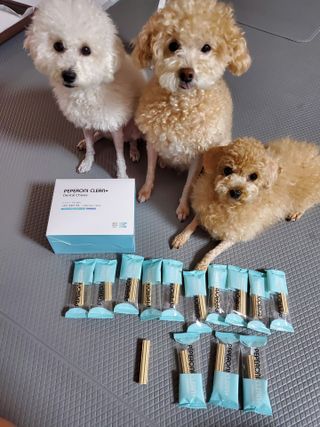 페페로니 클린플러스 덴탈치킨껌 10g x 14p — 5점을 준 리뷰어가 2021년 7월 올린 사용 사진