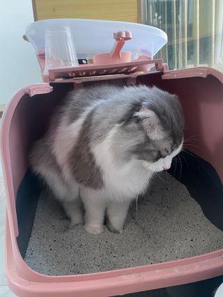 서예슬님이 올린 리뷰 사진 4