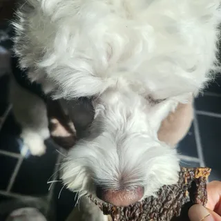 햄님이 올린 리뷰 사진 2