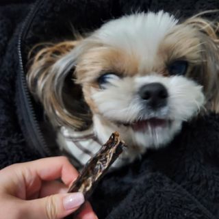 베베츄님이 올린 리뷰 사진 4