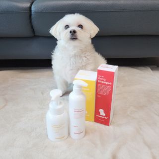 [댕모어 샴푸 2종] 댕샴푸 / 퍼피샴푸  2종 세트 (300ml) — 5점을 준 리뷰어가 2023년 8월 올린 사용 사진