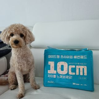 아베크 펫 와이드 프리미엄 대형 애견 강아지 배변 패드 30매 1팩 80g — 5점을 준 리뷰어가 2021년 7월 올린 사용 사진