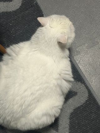 jyerin님이 올린 리뷰 사진 3