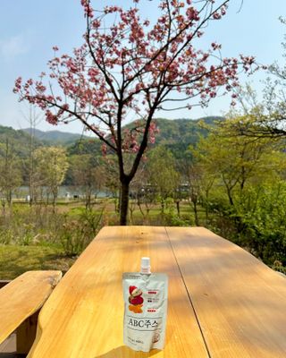비앤포님이 올린 리뷰 사진 1