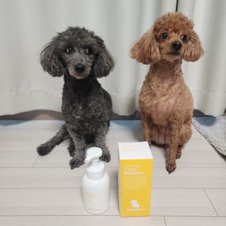[댕모어 샴푸 2종] 댕샴푸 / 퍼피샴푸  2종 세트 (300ml) — 5점을 준 리뷰어가 2023년 10월 올린 사용 사진