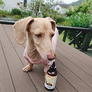 링고엄마님이 올린 리뷰 사진 1