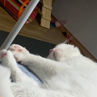 례진님이 올린 리뷰 사진 3