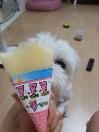 뽀오오옹님이 올린 리뷰 사진 3