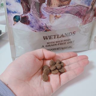 슝늉님이 올린 리뷰 사진 2