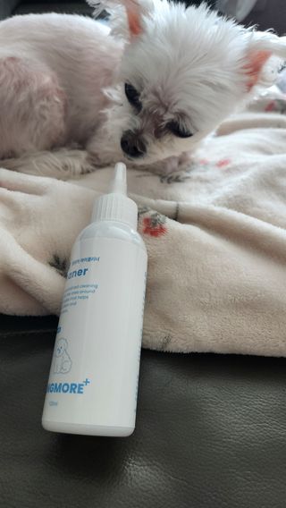 [댕모어 클리너 3종] 아이클리너 / 이어클리너 / 덴탈클리너 3종 세트 (120ml) — 5점을 준 리뷰어가 2024년 3월 올린 사용 사진
