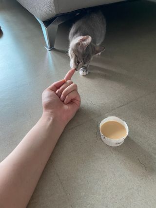 현님이 올린 리뷰 사진 3