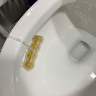 콩알맘님이 올린 리뷰 사진 3