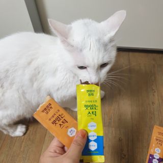 페페로니 맛있는 스틱 - 무항생제 닭고기 15개 + 원양선 참치 15개 — 5점을 준 리뷰어가 2021년 8월 올린 사용 사진
