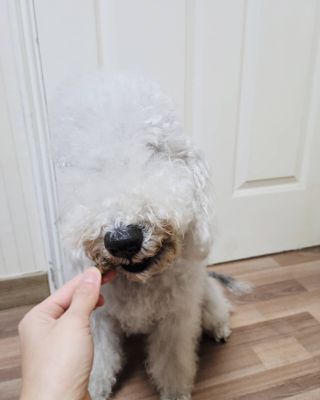 lemoniee님이 올린 리뷰 사진 3