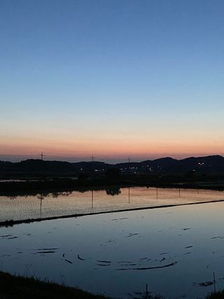 0.8L 마케팅팀 - — 리뷰어가 2021년 5월 올린 사용 사진
