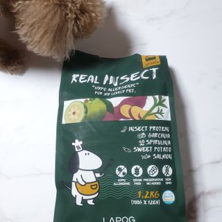 [푸디웜] 라포그  리얼인섹트 웨이트밸런스 저알러지 강아지 사료  1.2KG — 4점을 준 리뷰어가 2021년 7월 올린 사용 사진