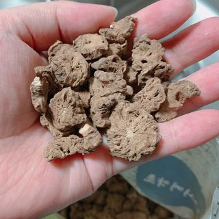 소영님이 올린 리뷰 사진 1