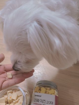 페페로니 진짜 프리바이오틱스 치즈+치즈고구마 180g+180g — 3점을 준 리뷰어가 2021년 7월 올린 사용 사진
