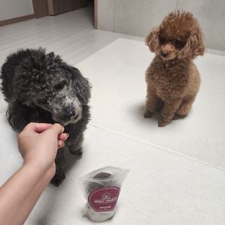 산이네ෆ˙ ᵕ ˙ෆ님이 올린 리뷰 사진 1