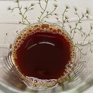 [비린내 완벽제거] 본황칠 통장어 국내산 장어즙 아르기닌 2800mg 장어즙효능 기력보강 — 5점을 준 리뷰어가 2022년 8월 올린 사용 사진