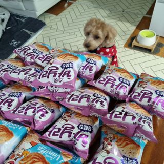 기린짱맘님이 올린 리뷰 사진 3