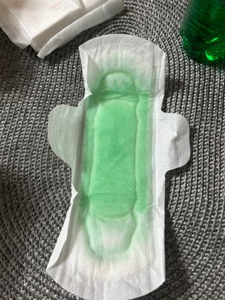 N[템포] 템포 패드 내추럴 순면 생리대 SET(중형 슬림 + 대형 + 라이너) — 5점을 준 리뷰어가 2024년 2월 올린 사용 사진