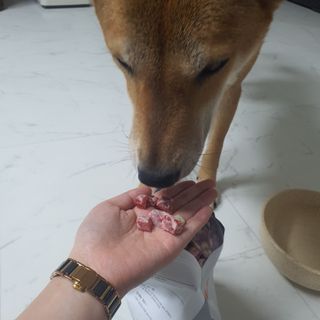 루비님이 올린 리뷰 사진 4