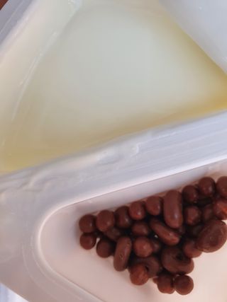 매일바이오 토핑요거트 — 5점을 준 리뷰어가 2021년 5월 올린 사용 사진