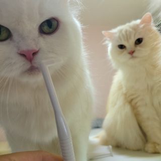 모모님이 올린 리뷰 사진 4