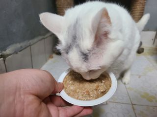 JinSePark님이 올린 리뷰 사진 3
